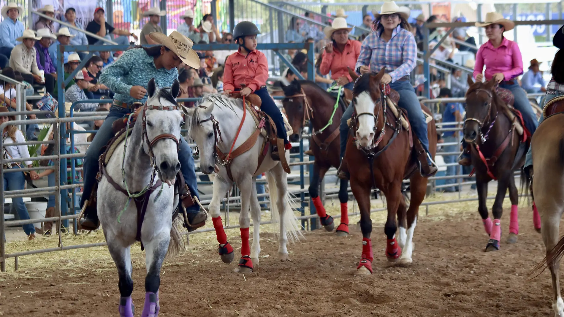 FESTIVAL DEL CABALLO - Fco Meza - El Sol de León (14)